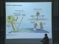 Lec 37 - Biology 1B - Lecture 38: Ecosystem processes