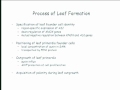 Lec 19 - Plant and Microbial Biology 160 - Lecture 20