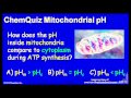 Lec 75 - Mitochondrial pH  (Quiz)