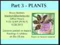 Lec 27 - Biology 1B -Introduction to plants and fungi