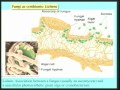Lec 29 - Biology 1B -  Importance of fungi - origins of ph