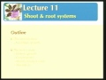 Lec 37 - Biology 1B -Secondary growth of stems -  the ro