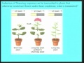Lec 39 - Biology 1B -  Photoperiodism, plant hormones and