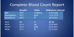 What is Complete Blood Count