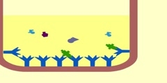 Explanation of Enzyme immunoassay (EIA) to detect antigens