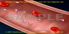 Description of  clot formation and ot breakdown 2D medical