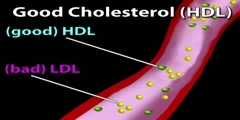 What is cholesterol and why is it important?