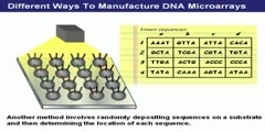 What is biotechnology patent DNA microarrays