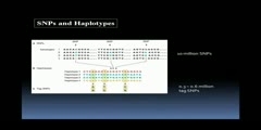 Microarray based SNP Genotyping