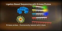 Solid DNA sequencing animation