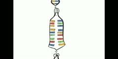 The significance of DNA transcription