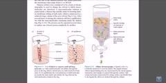 Affinity chromatography