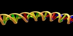 Mutation of genes