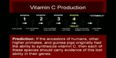 Vitamin C and common ancestry