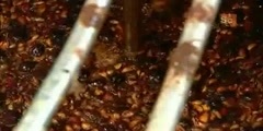 Processing Worcestershire Sauce