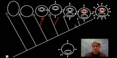 What is Cladogram