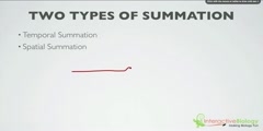 Introduction of Summation of Numbers?