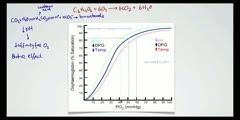 What is The Bohr Effect?