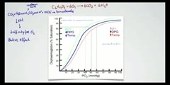 What is The Bohr Effect?