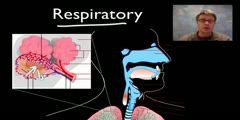 Organ Systems in Humans