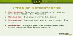 Energy Cycles in Nature- Part 1