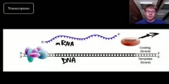 Detailed Structure of DNA and RNA