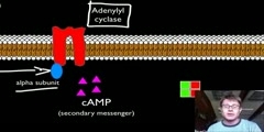 Tracing Signal Transduction Path.