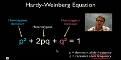 How to Solve Hardy Weinberg Problems