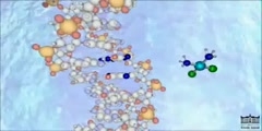 The Mechanism of Cisplatin