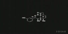 Small Molecules and Their Diversity