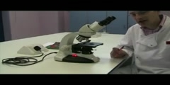 Set Up a Light Microscope