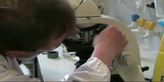 How to Maintain a Light Microscope