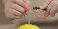 Procedure To Make A Lemon Battery