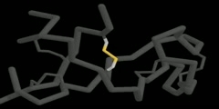 Properties of Disulfide Bonds