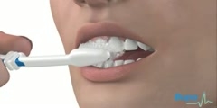 Techniques For properly Brushing Your Teeth