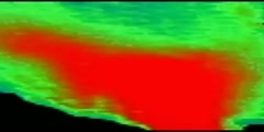 Action Potential in Neurons