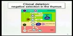 Mechanism of Tolerance Induction