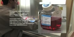 Cell culture part 1