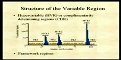 Immunology - lectures on antigens