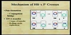 How Genetic Informations Are Exchanged?