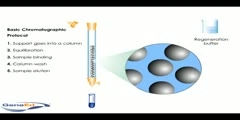 Phases of Column Chromatography