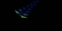 What is IFS Flame Fractal?