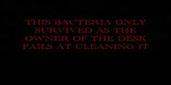 BACTERIA