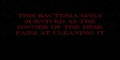 BACTERIA