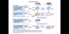 How to tell if a disease is caused by a microbe