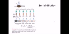 How to dilute a sample for analysis