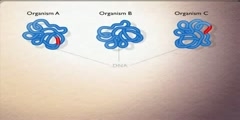 How to find dna sequences