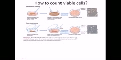 Different methods for incubating and counting viable cells
