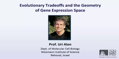 Evolutionary tradeoffs and the geometry of gene expression