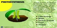 Process of Photosythnthesis